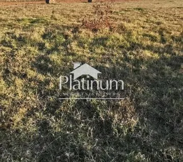 Istra, Šišan, poljoprivredno zemljište 1006 m2 - cover