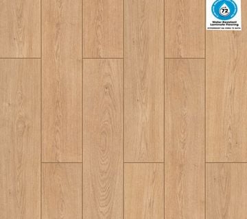 Laminat 9069 Muson 12 mm KL 33, 1m²  15,95 € POPUST -20% = 12,76 € - cover