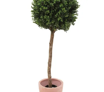 EUROPALMS Plastic boxwoodball tree, 110cm - cover