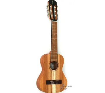 APC GS GUITARLELE SIMPLE - cover