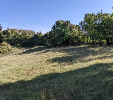 Istra, Svetvinčenat, kompleks građevinog i poljoprivrednog zemljišta