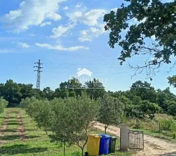 Istra, okolica Savičente, kuća za odmor s maslinikom i vinogradom - cover