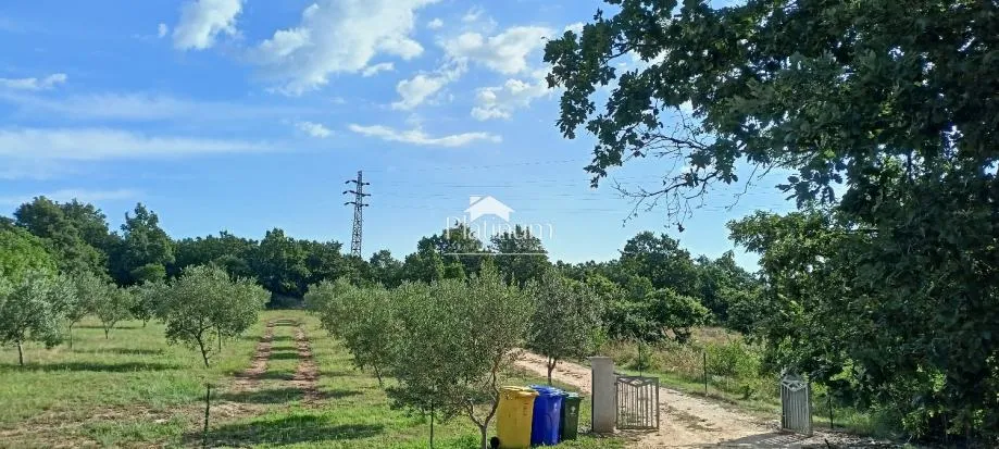 Istra, okolica Savičente, kuća za odmor s maslinikom i vinogradom - cover