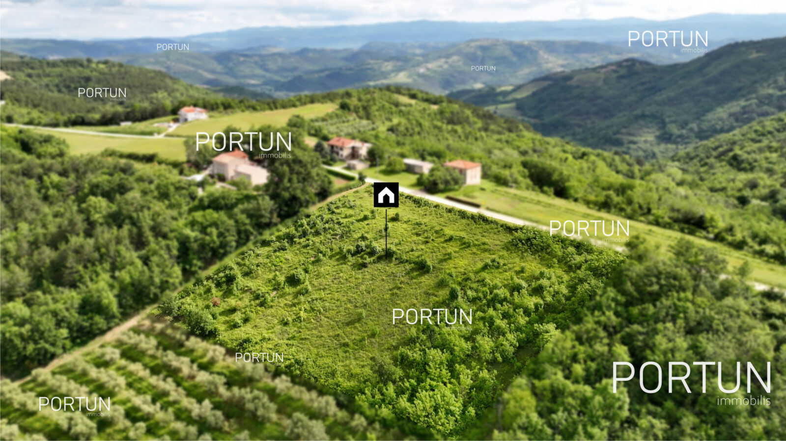 land_for_sale_near_motovun_z726_01