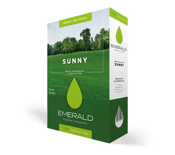 EMERALD SUNNY - cover