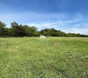 Istra, Šišan, više lijepih poljoprivrednih zemljišta - cover