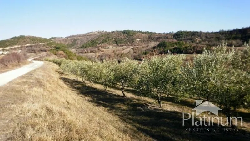 Fotografija