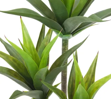 EUROPALMS Yucca, 3 trunks, 125cm - cover