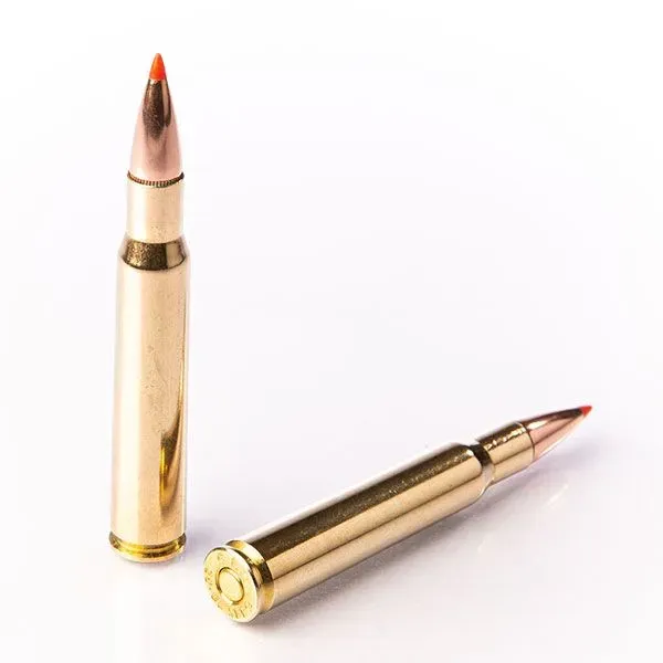 Karabinsko streljivo FIOCCHI .30-06 EPN 9,7g / 150gr - cover