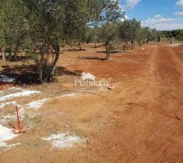 Istra,Batvačii poljoprivredno zemljište - cover