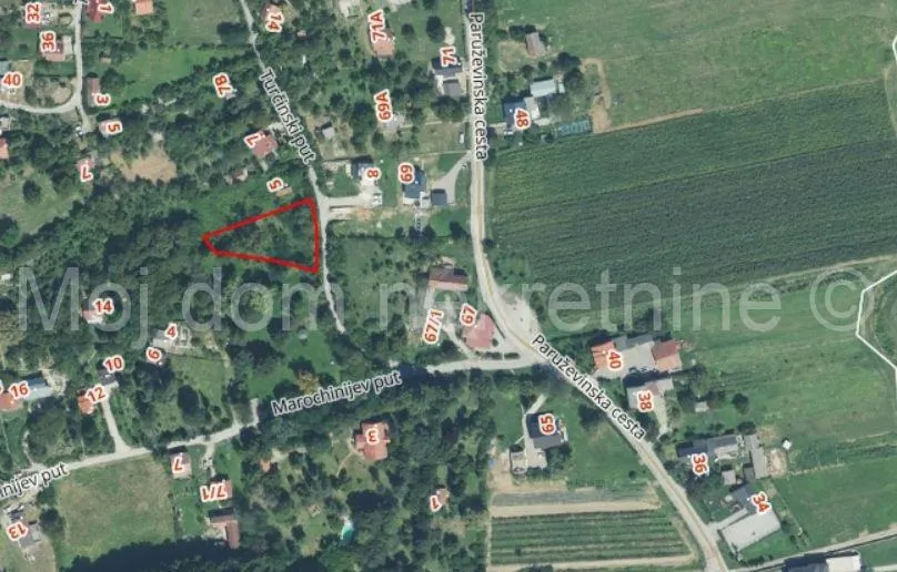 Fotografija