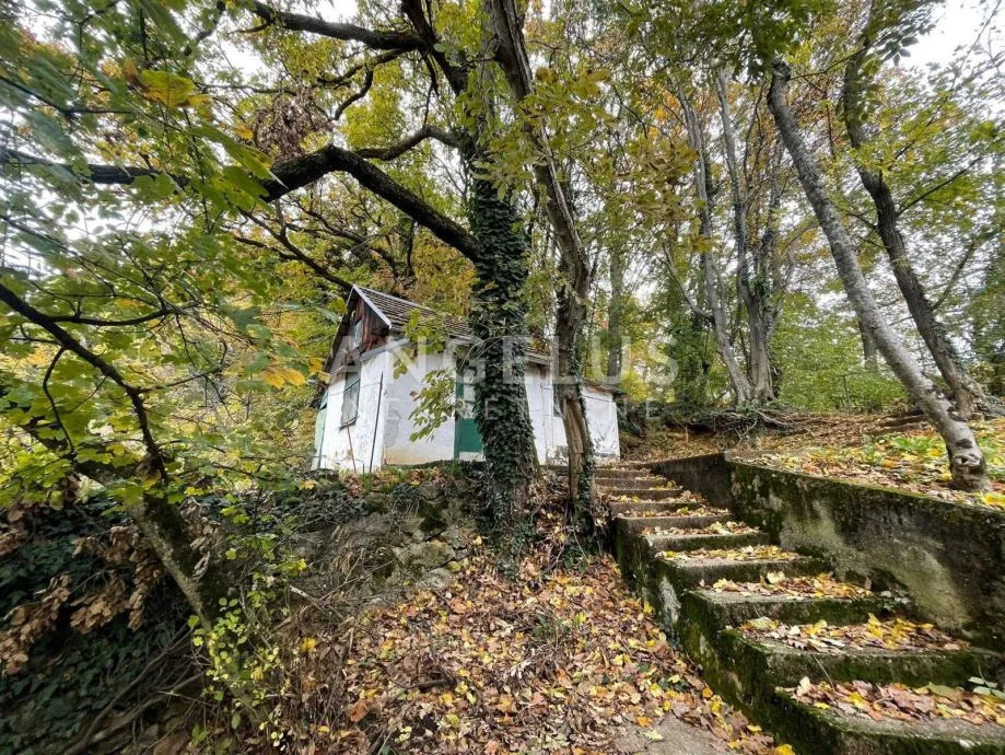 Fotografija