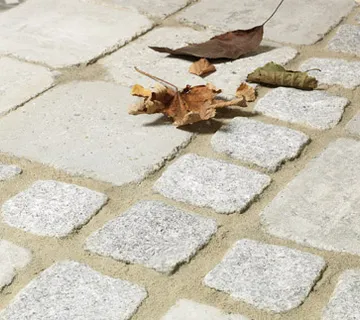 DANSAND – PIJESAK PROTIV KOROVA FUGA - cover