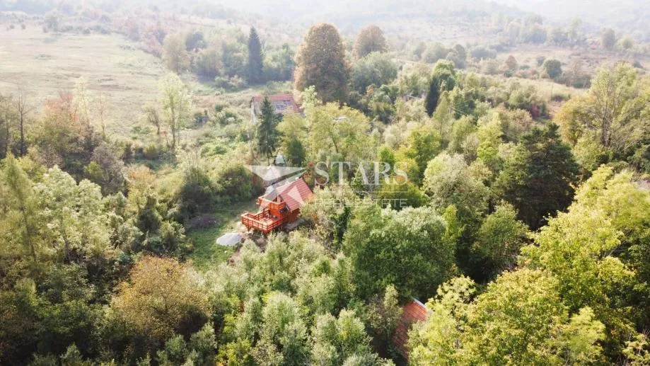 Fotografija