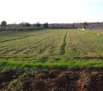 Građevinsko zemljište, Svetvinčenat, Rapanji, 2931 m2 - cover