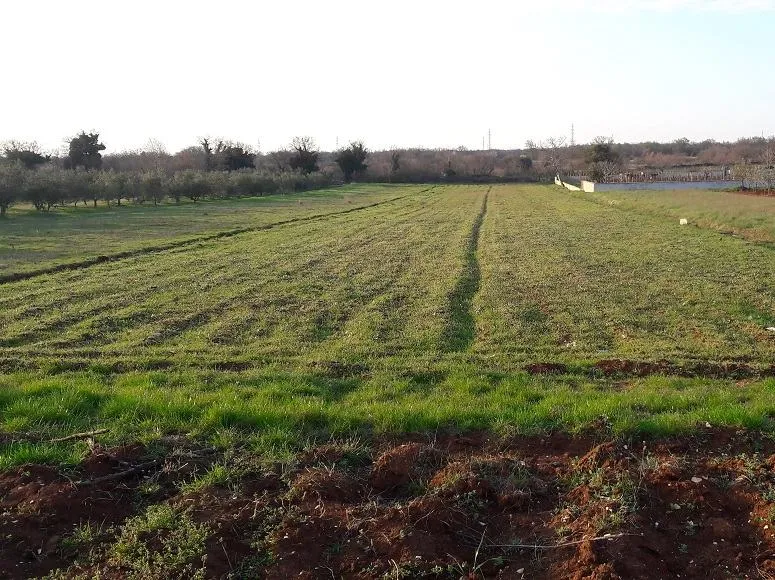 Građevinsko zemljište, Svetvinčenat, Rapanji, 2931 m2 - cover