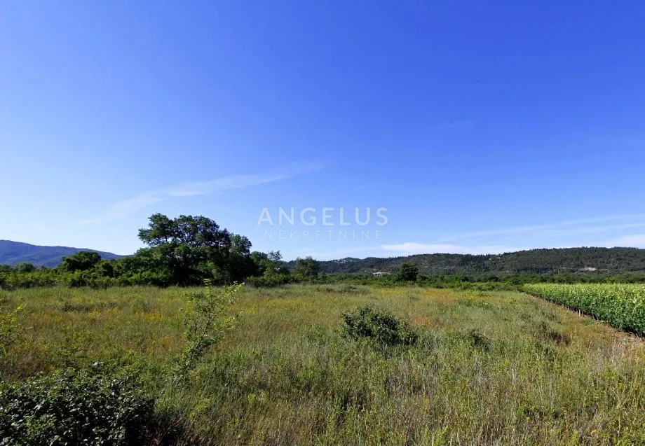 Konavle, poljoprivredno zemljište 4.400 m2 - cover