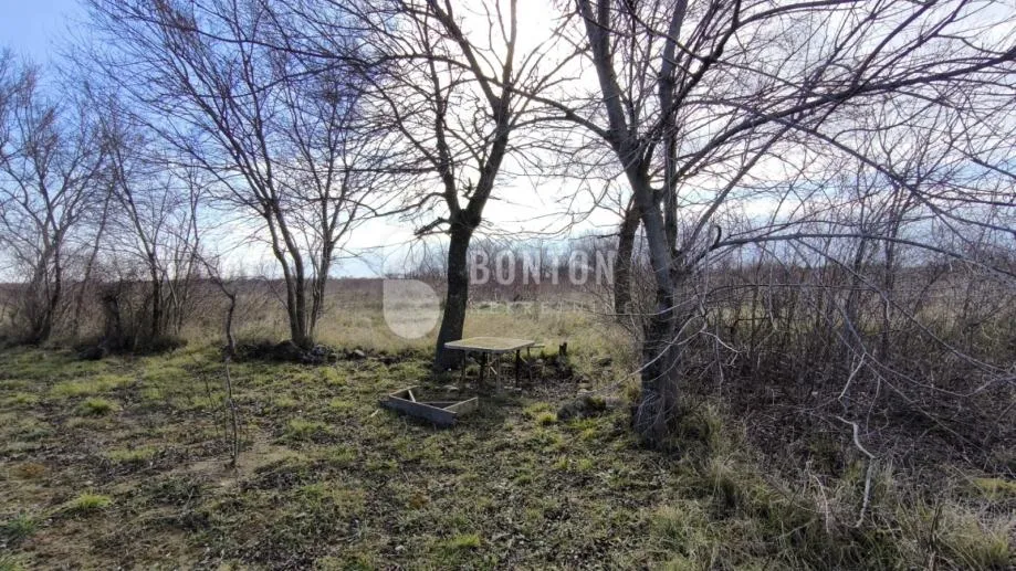 Fotografija