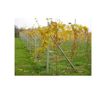 Potporni stup-metalni, pocinčani-v 1250 mm - cover