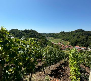 Vinograd s kleti - cover