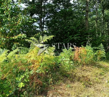 Popovo selo - Poljoprivredno zemljište – 53.418 m² - cover
