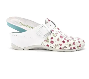 ANATOMSKE KLOMPE, Cvjetna, BBEHG - cover