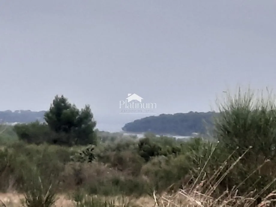 Fotografija