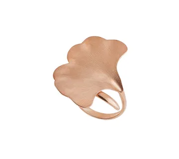 Ginko prsten - cover