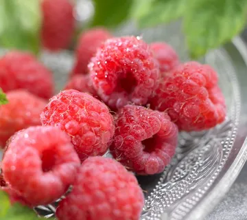 MALINA “Malling Promise” - cover