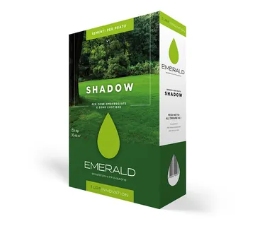 EMERALD SHADOW - cover