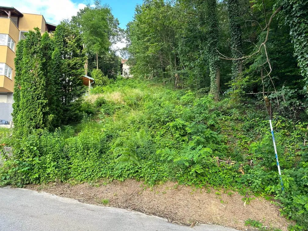 Fotografija