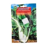 Blitva srebrnolisna - cover