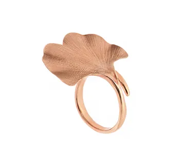 Ginko prsten - cover