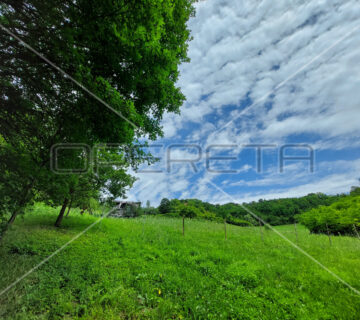 Črešnjevec, Tuheljske Toplice, 1.126,00 m2, 38.000,00 EUR - cover