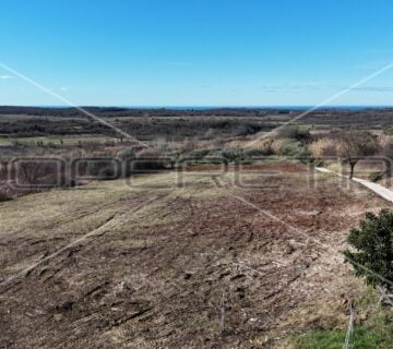 Buje, Buje, 1.036,00 m2, 259.000,00 EUR - cover