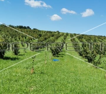 Končanica, Daruvar, Zemljište, 145.000,00 EUR - cover