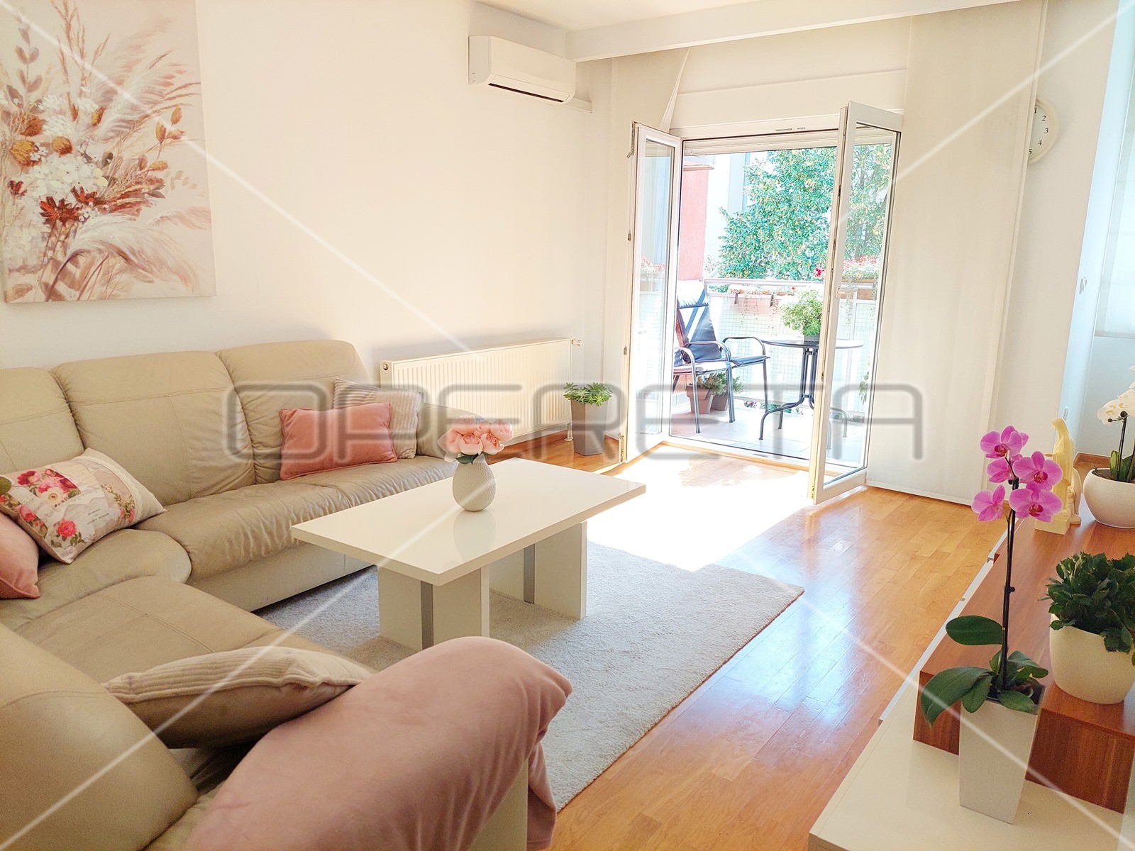 opereta_443755