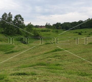 Velika Crkvina, Krnjak, 185.117,00 m2, 740.468,00 EUR - cover