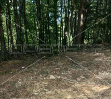 Topusko, Perna, 9.999,00 m2, 20.000,00 EUR - cover