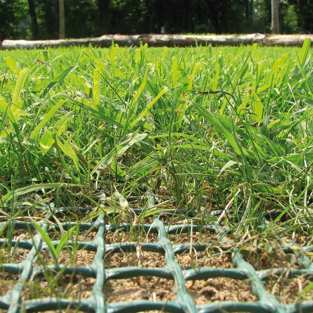 Mreža za pojačanje travnjaka TR - cover