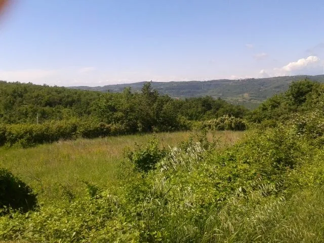 VIŽINADA-POLJOPRIVREDNO ZEMLJIŠTE NA PRODAJI - cover