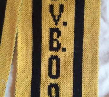 Šal Borussia Dortmund - cover
