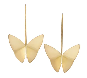 Leptir naušnice - cover