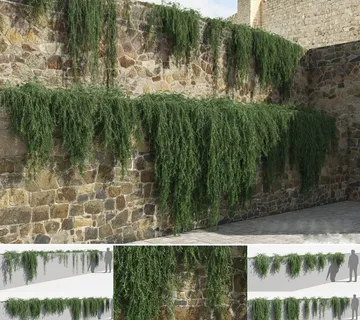 ROSMARINUS OFF. “Prostratus” - cover