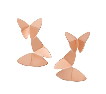 Leptir naušnice - cover