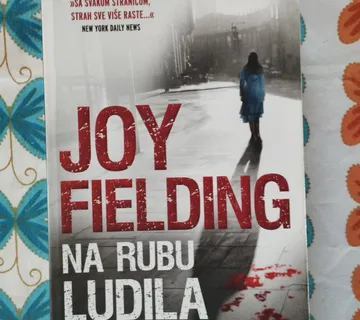 Joy Fielding - Na rubu ludila - cover