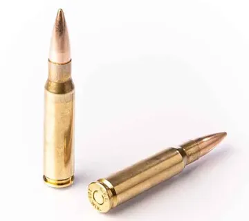Karabinsko streljivo FIOCCHI 308 Win. FMJ 9,5g / 147gr - cover