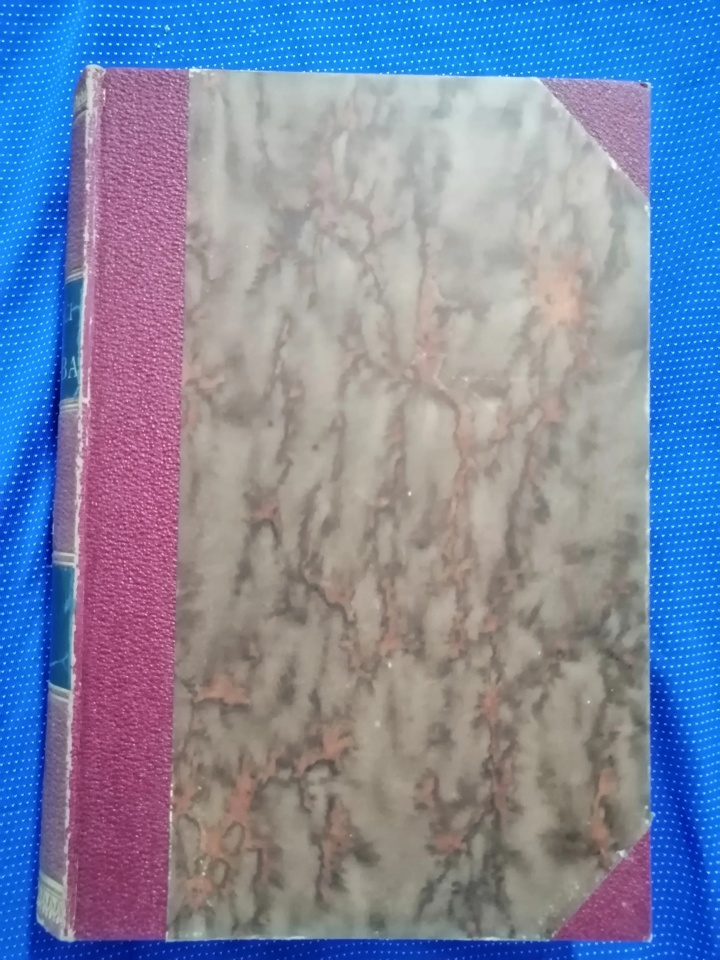 Povijesni spomenici slobodnoga kraljevskoga grada Zagreba 6 (Z19) - cover
