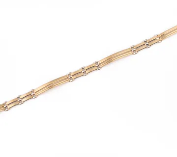 Zlatna narukvica Isaur - cover