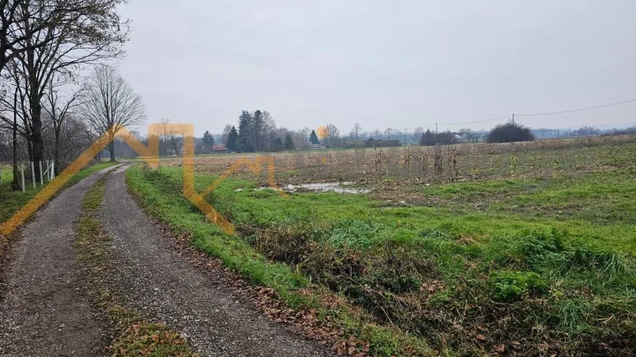 Fotografija
